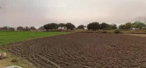 Sri Ganganagar, Rajasthan, India preview 3