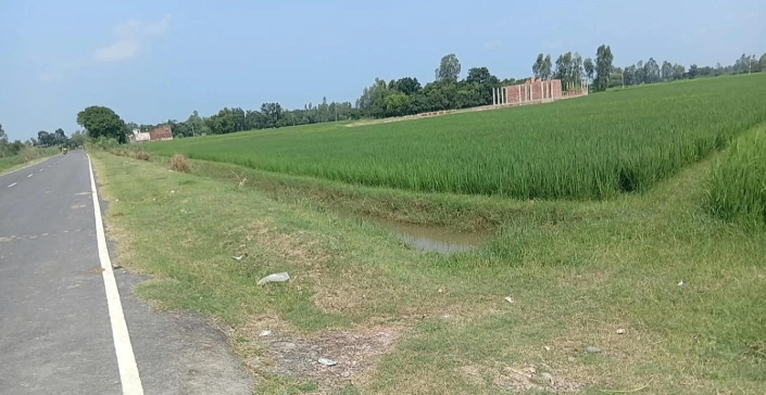 Samadpur Hardas, Unnao, Uttar Pradesh 209881, India