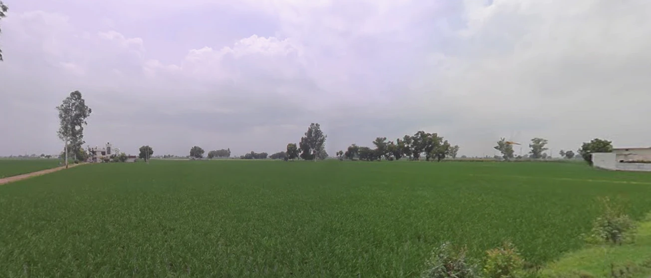 Nurpur Bedi, Punjab 140117, India