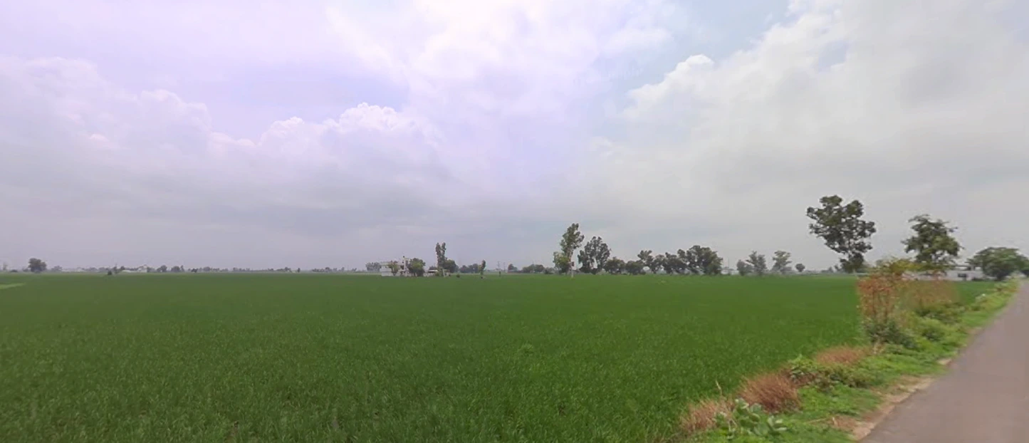 Nurpur Bedi, Punjab 140117, India