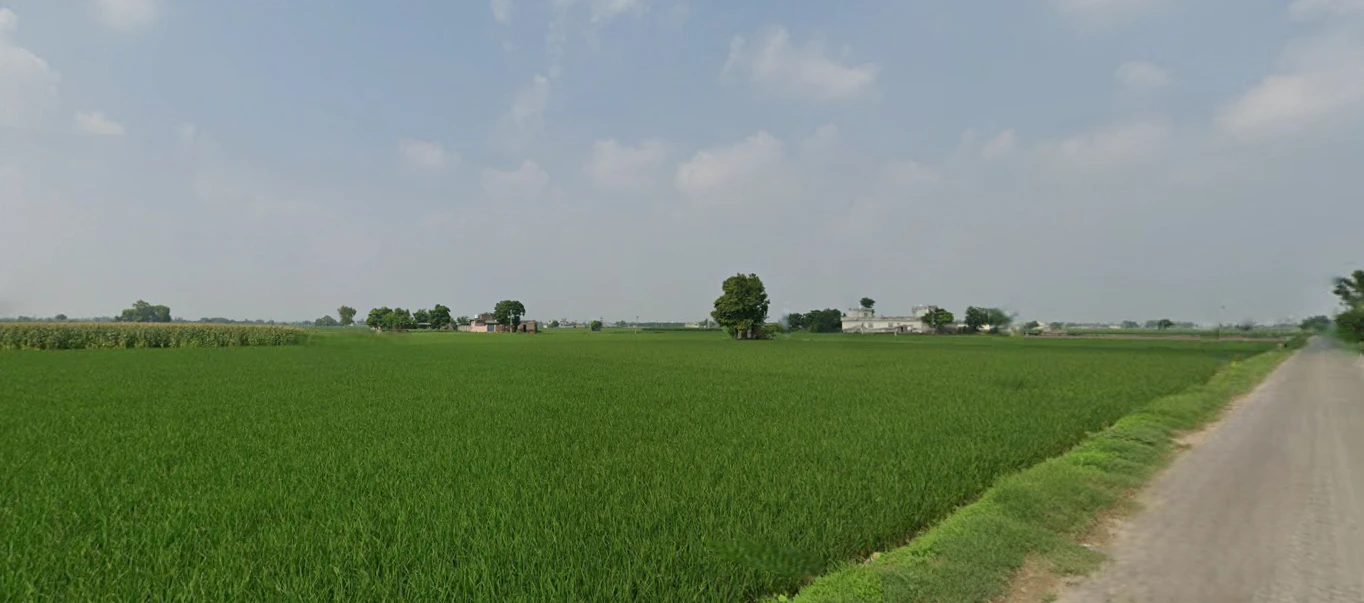 Nurpur Bedi, Punjab 140117, India