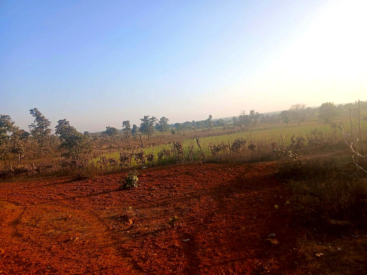 Shankarpur, Madhya Pradesh, India