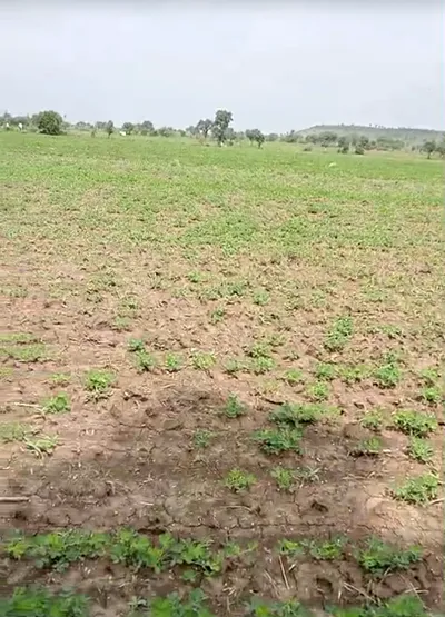 Kesali, Sagar, Madhya Pradesh 470235, India preview 3