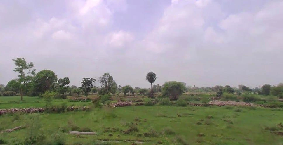 Koleshwar Kalan, Rajasthan, India