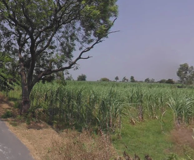 Moradabad, Uttar Pradesh, India