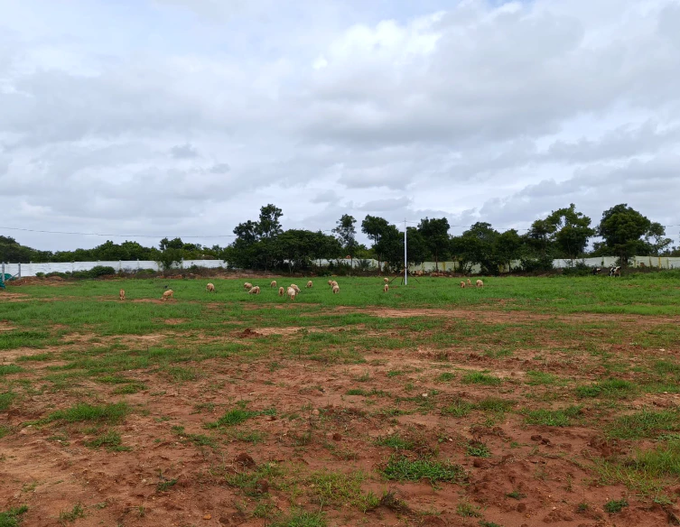 JV99+9J Neralemaradahalli, Karnataka, India