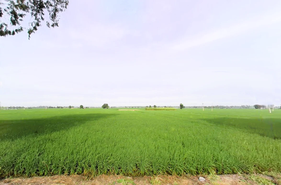 Madlauda, Haryana 132113, India