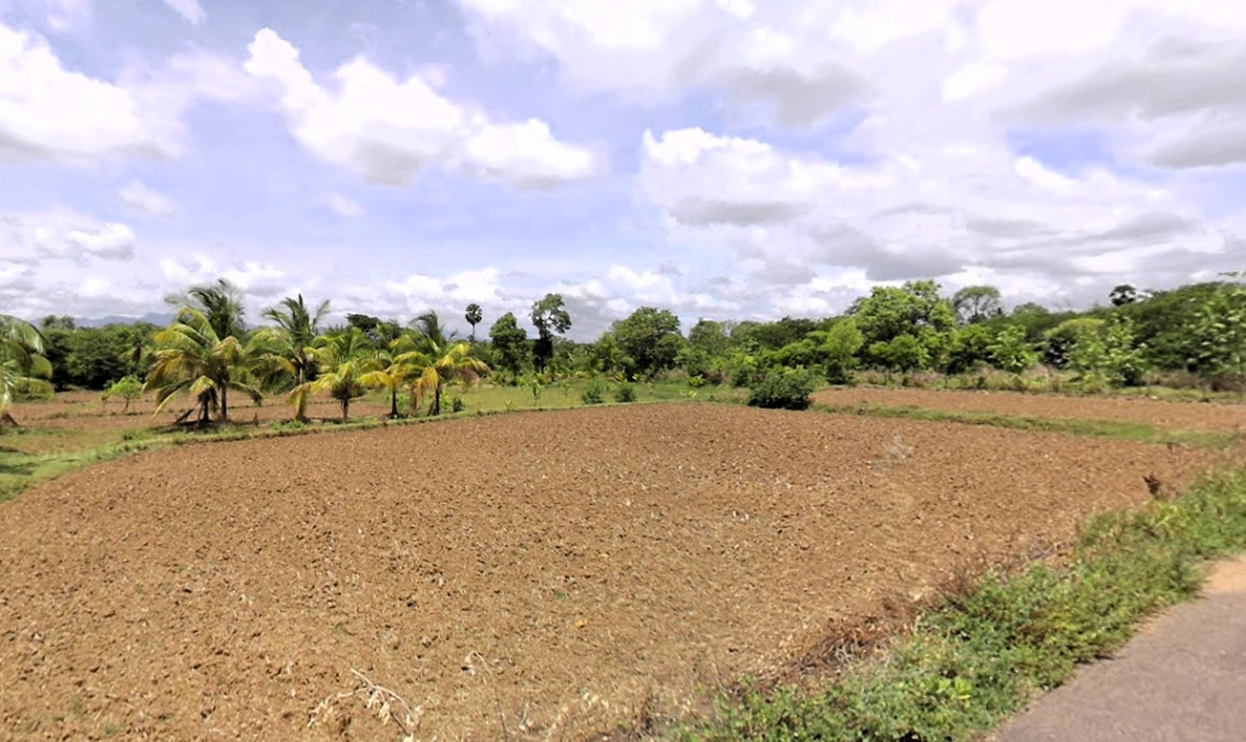 Chittur, Kerala, India