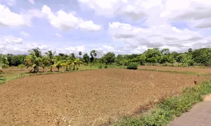 Chittur, Kerala, India preview 3