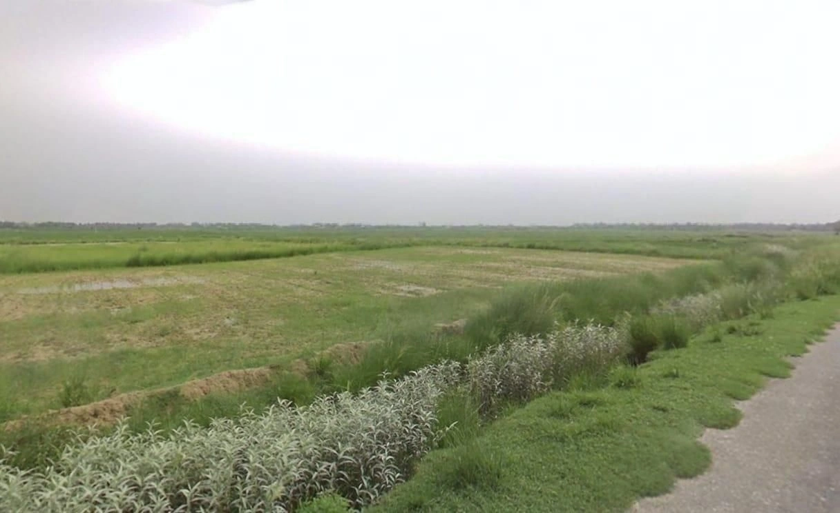 Rajnagar, Madhya Pradesh, India