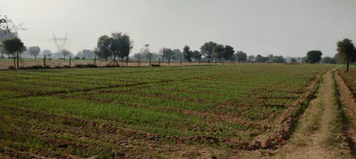 QGV4+5X Bagru, Jaipur, Rajasthan, India preview 2