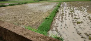 Helak, Rajasthan, India preview 4