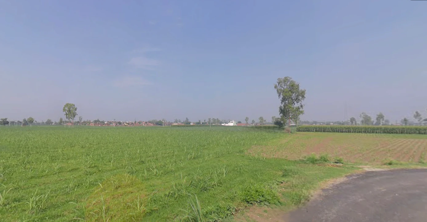 Tanda, Uttar Pradesh 244925, India
