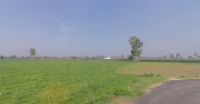 Tanda, Uttar Pradesh 244925, India preview 3