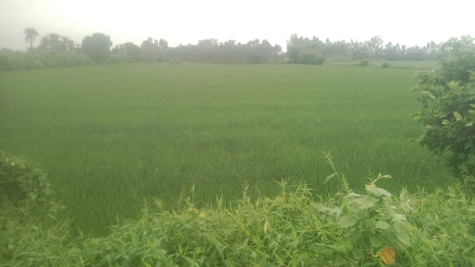 Khair, Aligarh, Uttar Pradesh 202138, India preview 3