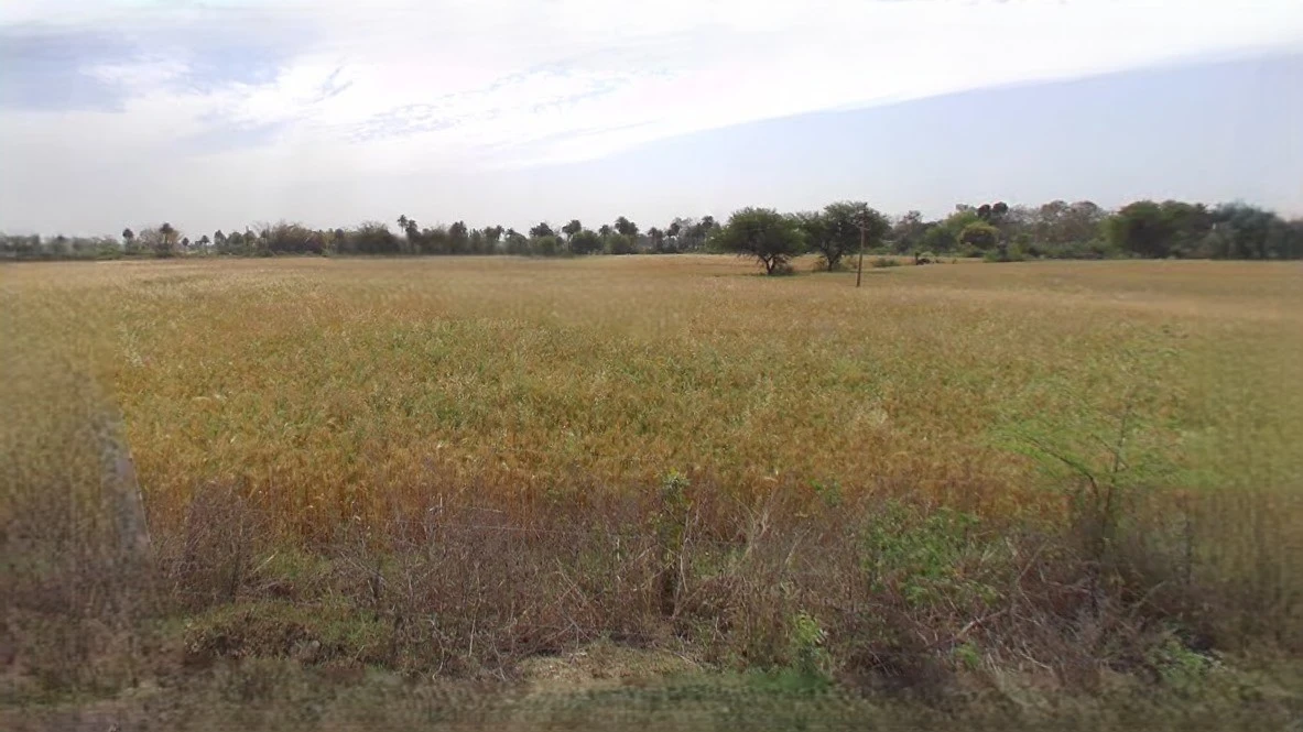 Ujjain, Madhya Pradesh, India