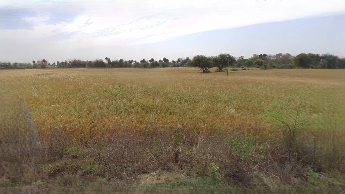 Ujjain, Madhya Pradesh, India