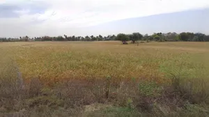 Ujjain, Madhya Pradesh, India preview 3