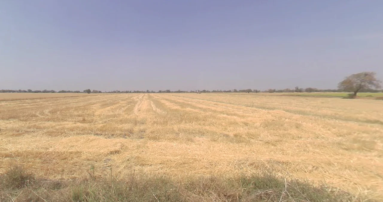 Ismailpur, Maharashtra, India preview 3