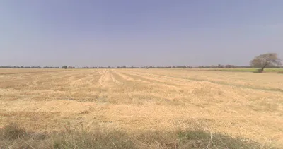 Ismailpur, Maharashtra, India preview 3