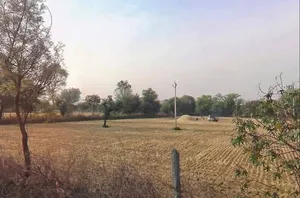 Nathdwara Rd, Nathdwas, Nathdwara, Rajasthan 313301, India preview 3