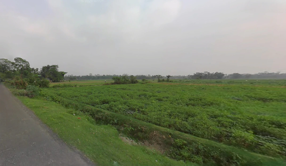 MMXW+VMG, Prantik Station Rd, Prantik, Bolpur, West Bengal 731235, India