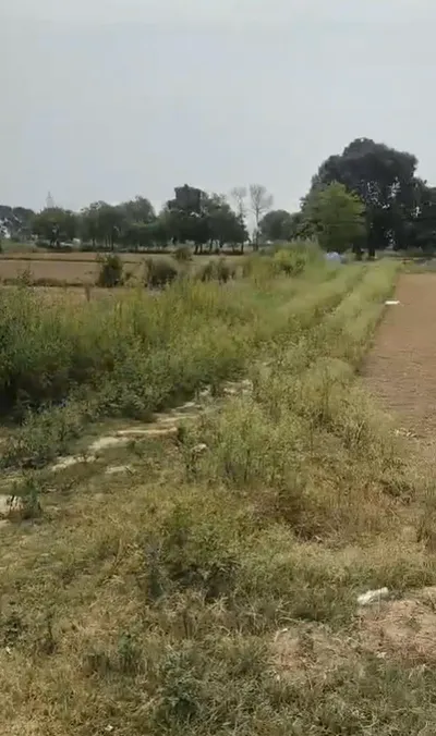 Dadri, Gautam Buddha Nagar, Uttar Pradesh, India preview 2