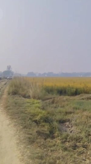 Faridpur Simbhavali, Uttar Pradesh 245207, India preview 3