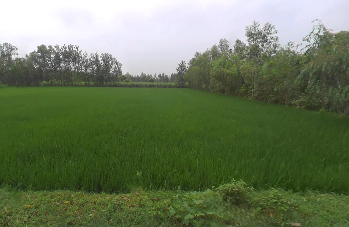 Mirganj, Uttar Pradesh 243504, India