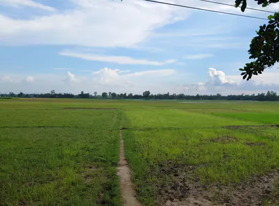 Bhagwanpur, Uttarakhand 247661, India preview 2