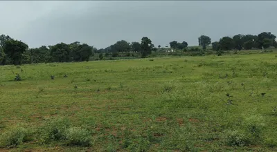 Tamia, Chhindwara, Madhya Pradesh 480559, India preview 3