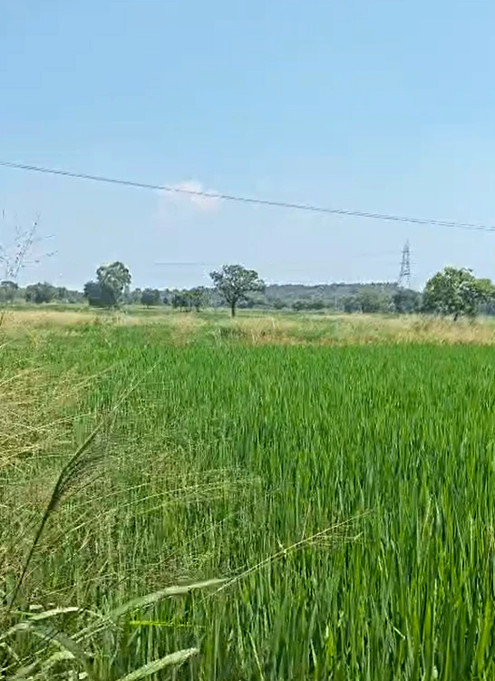 V465+MM Gurrampode, Nalgonda, Telangana, India - Photo 1