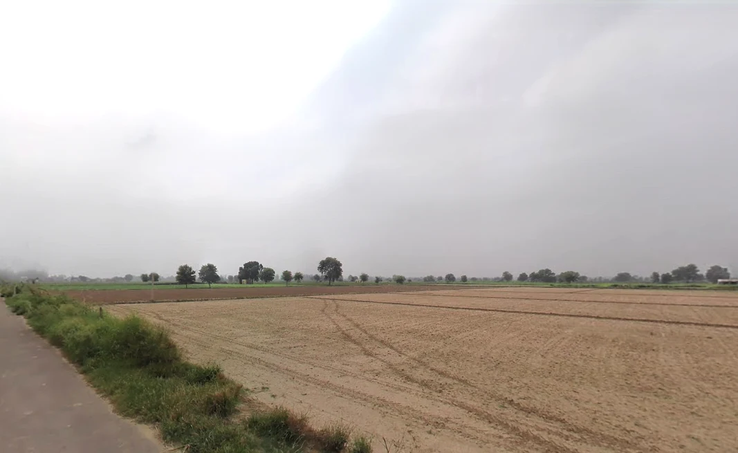 Barsi, Haryana 127032, India preview 2