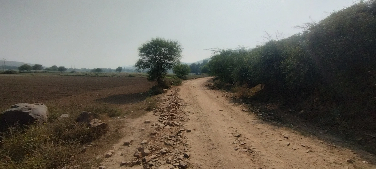 CRW3+WJH, Bai, Bere, Alwar, Rajasthan 301026, India