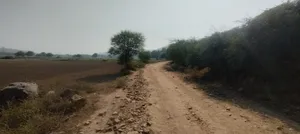 CRW3+WJH, Bai, Bere, Alwar, Rajasthan 301026, India preview 3