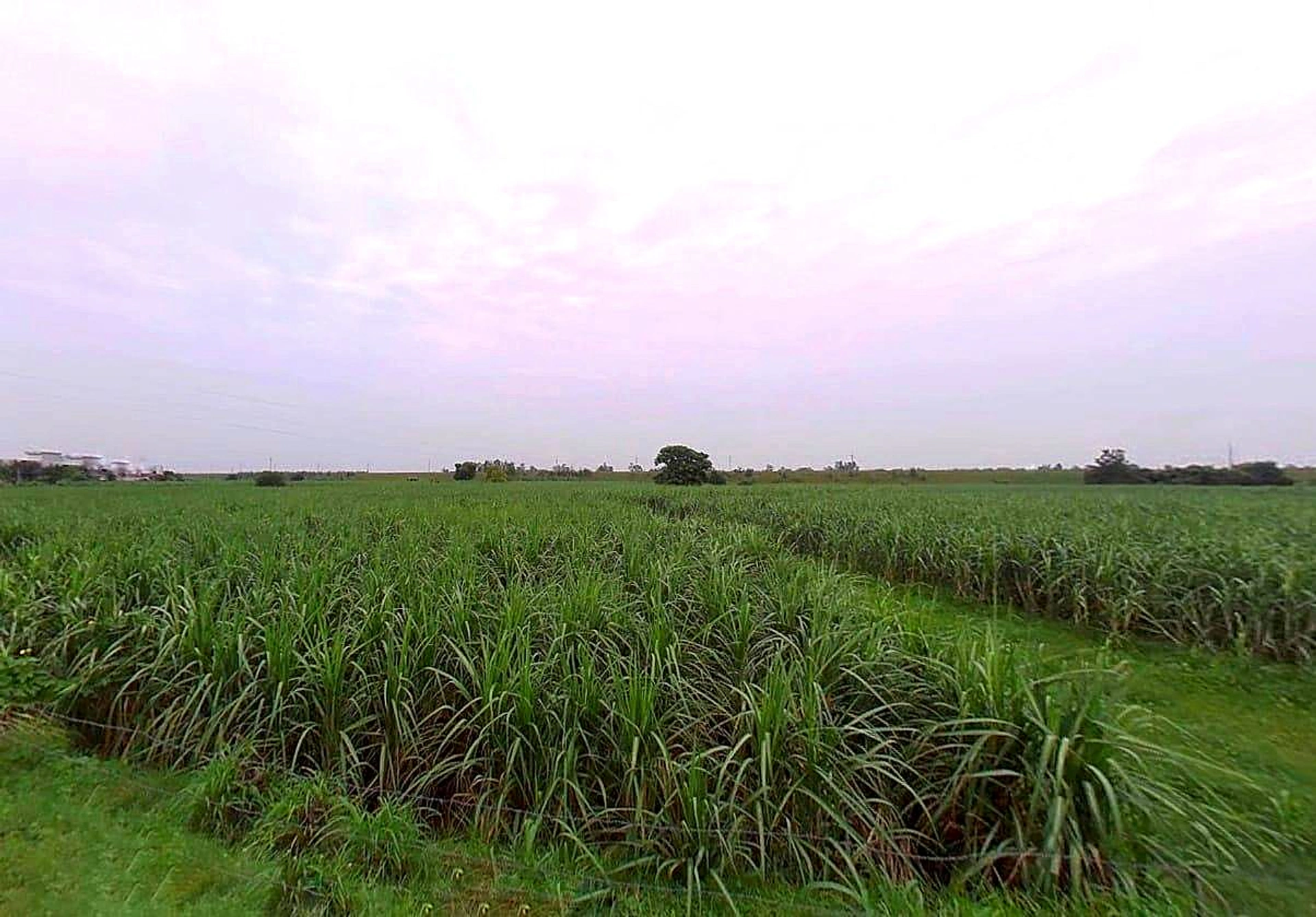 Mirapur, Uttar Pradesh, India