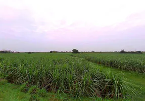 Mirapur, Uttar Pradesh, India preview 2