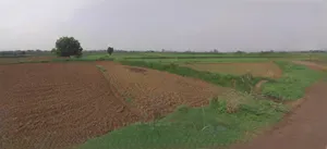 Haridwar, Uttarakhand, India preview 2