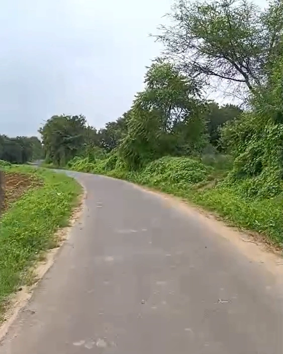 Jaipur, Jind, Haryana 126112, India