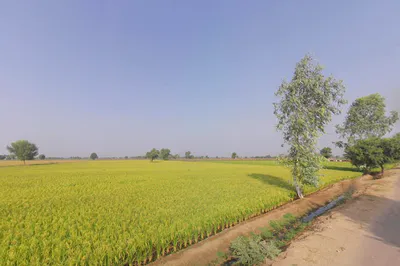 Bhagsar, Haryana, India preview 2