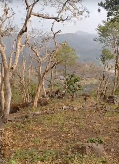 Morni Hills, Haryana, India