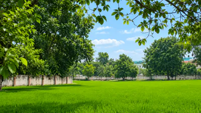 Chohat, Patiala, Punjab 147101, India preview 3