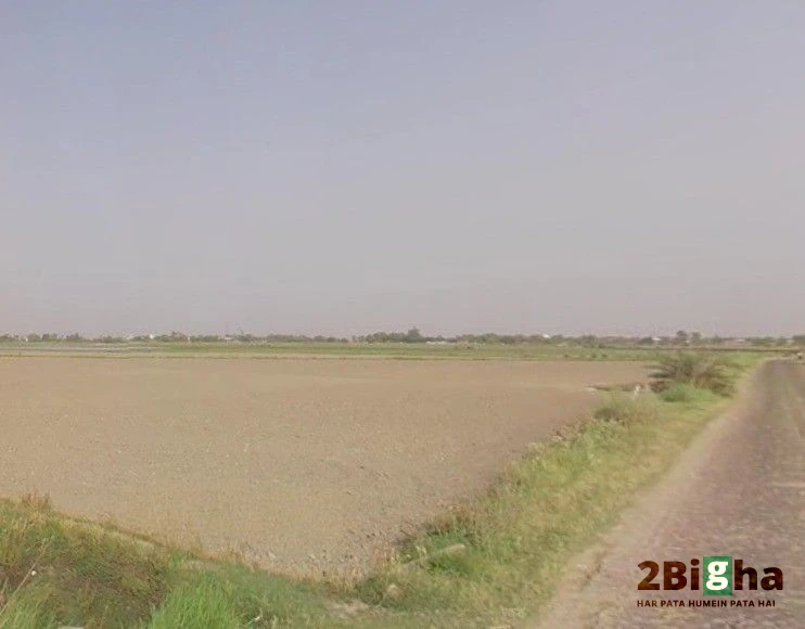 Sector 17A, Gautam Buddha Nagar, Uttar Pradesh 203201, India