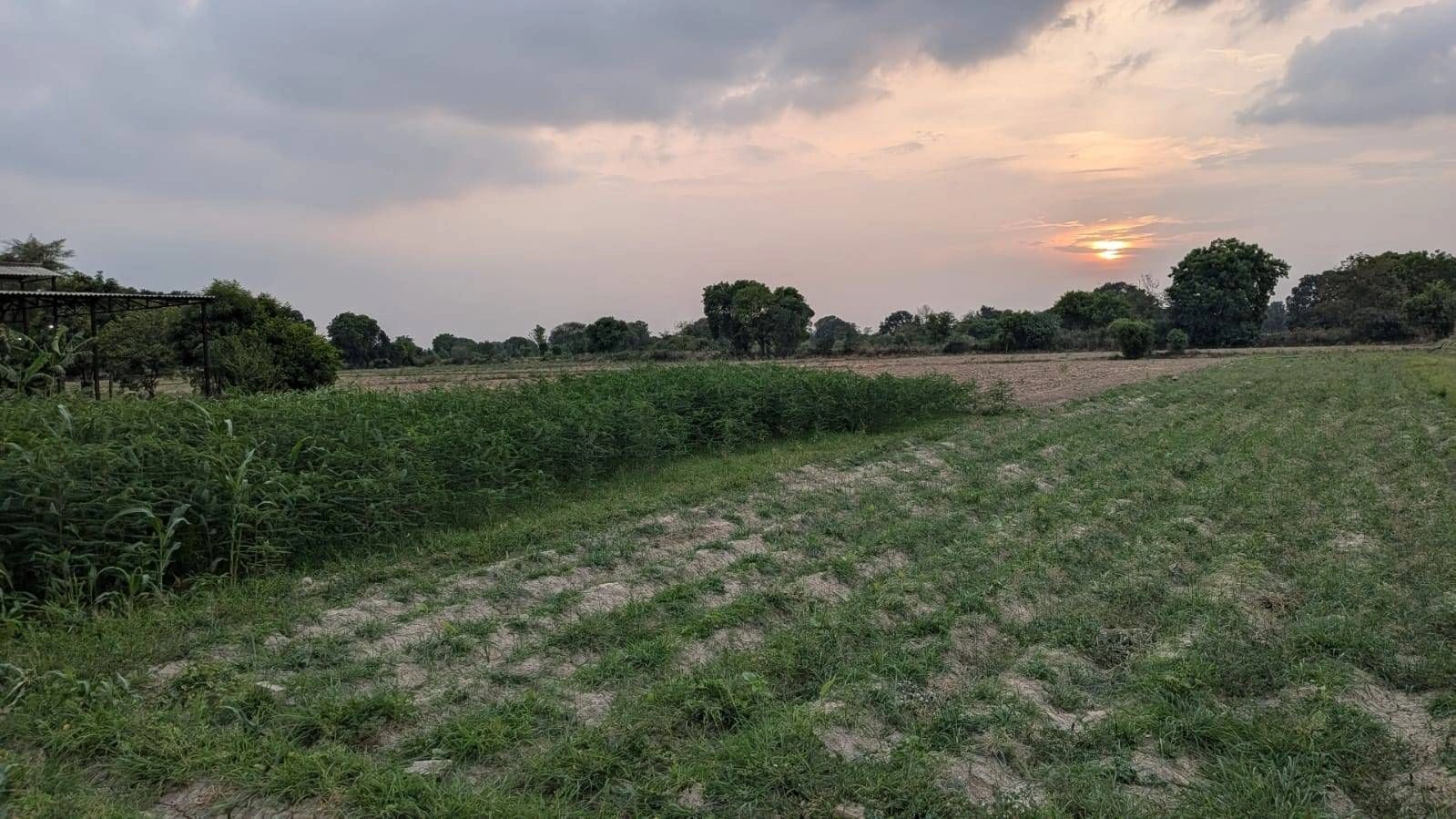 Khair, Aligarh, Uttar Pradesh 202138, India
