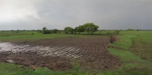 Khandwa, Madhya Pradesh 450001, India preview 2