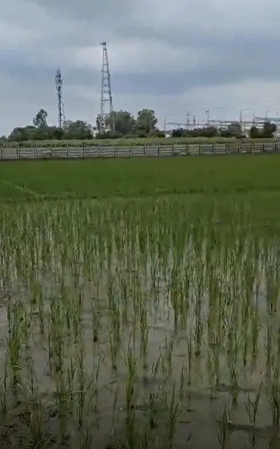 64MJ+Q5 Darapur, Bulandshahr, Uttar Pradesh, India preview 2