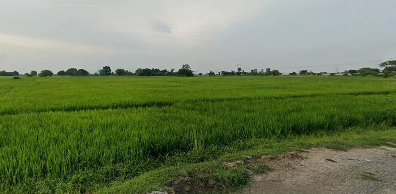 Harda, Madhya Pradesh 461331, India preview 3