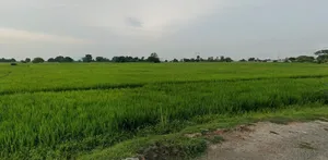 Harda, Madhya Pradesh 461331, India preview 3