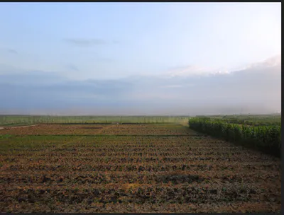 Saltora, West Bengal 722158, India preview 2