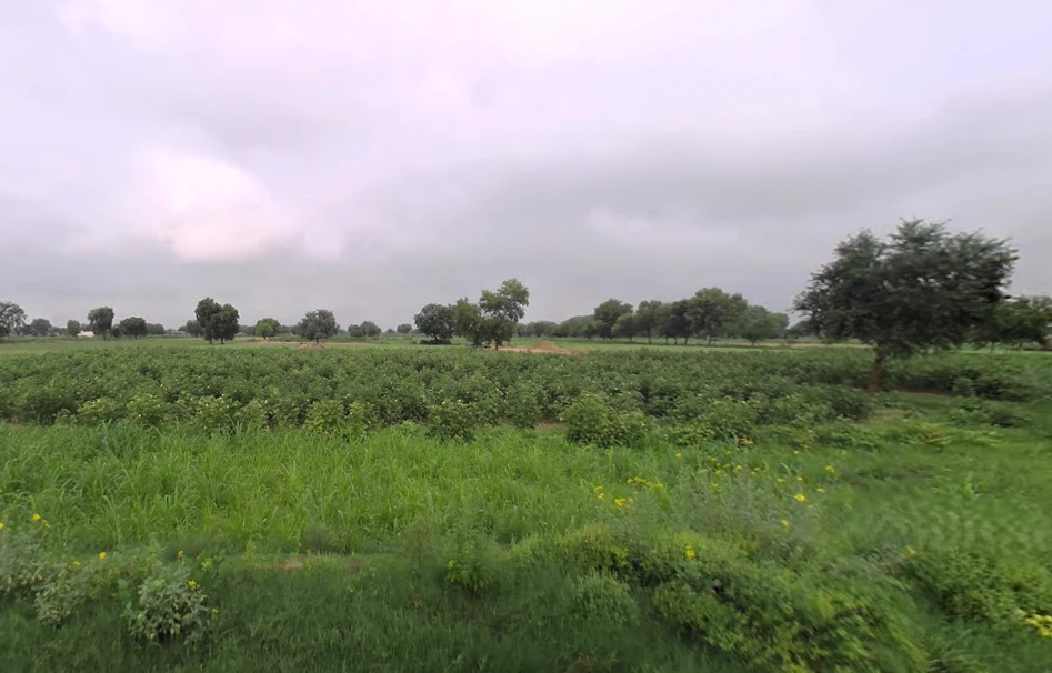 Hisar, Haryana, India